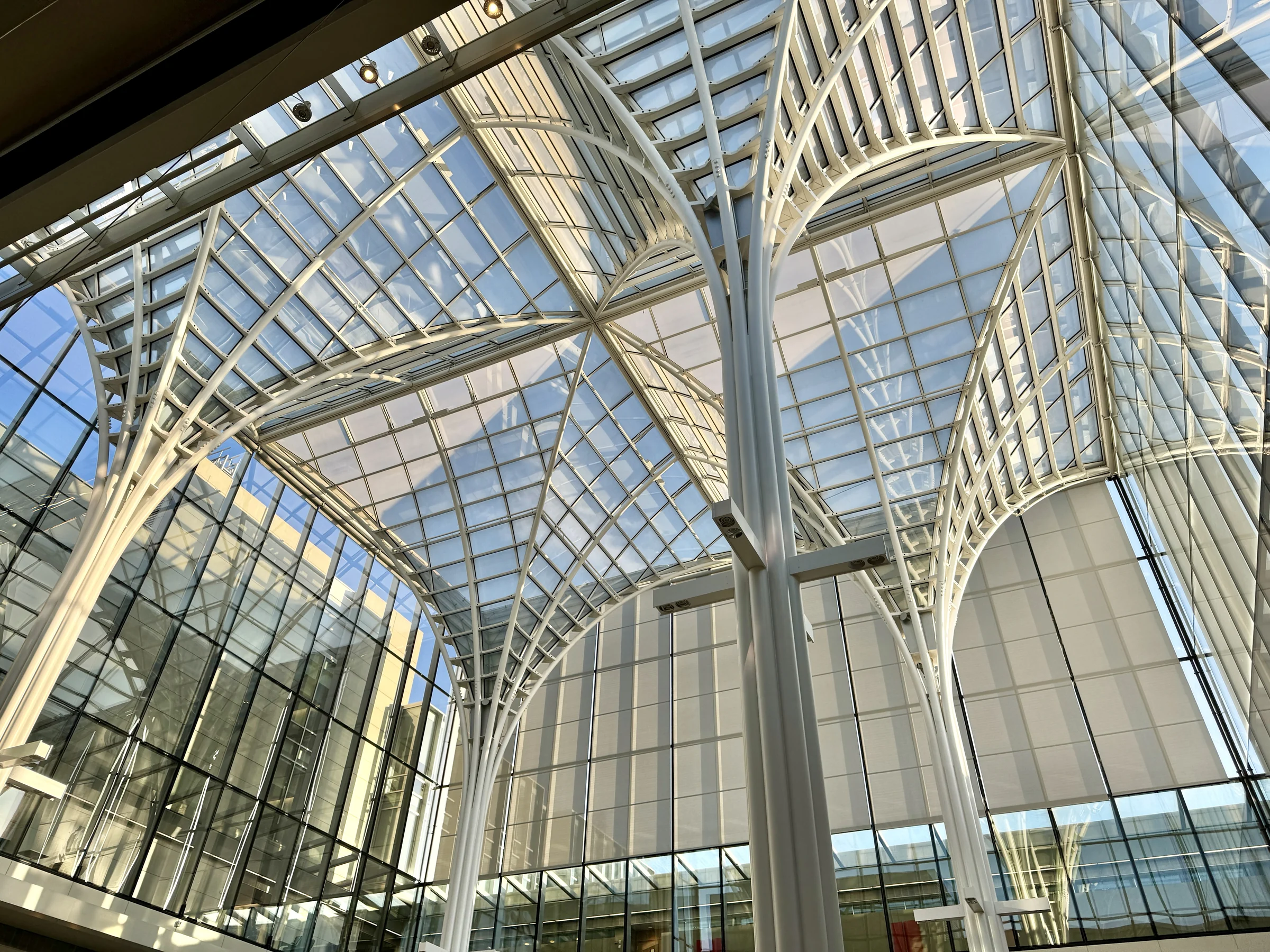 Daylight passing through a tall glass atrium and a rhythm of pale steel columns.